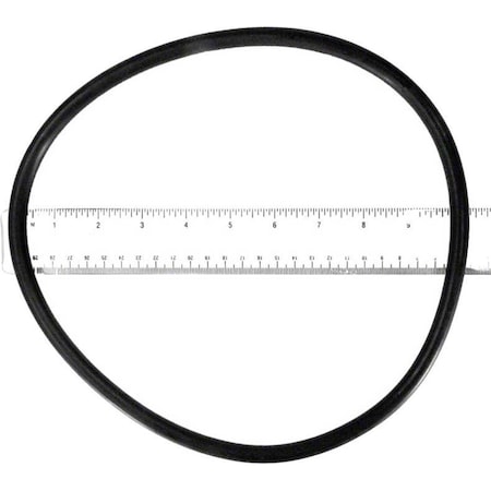 Ala-Pt Cartridge Filter Lid O-Ring APCO2192